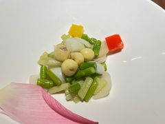 -觀芷隐轩