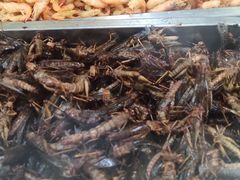 -老保定驴肉馆(云岗路店)