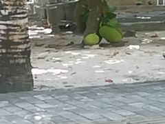 -琼大师东方烤乳猪(亚特兰蒂斯店)
