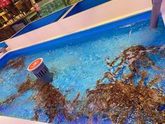 -日进一片海.生腌海鲜火锅.宵夜烧烤(三里屯总店)