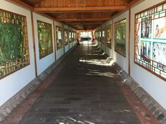 -大理地热国