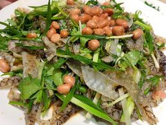 -张记旺角食街(动物园店)