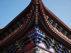 -东莞市大岭山森林公园