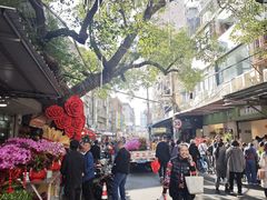 -溪岸路花鸟市场