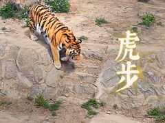-北京动物园