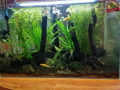 -Rabbit Cafe私房西餐甜点咖啡(栖霞路店)