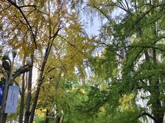 -四川大学(华西校区)