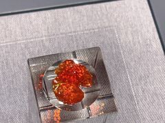 -中国地质博物馆