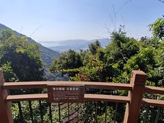 -三亚亚龙湾人间天堂鸟巢度假村