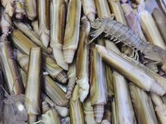 -77号渔船·蒸海鲜青岛菜(积米崖店)