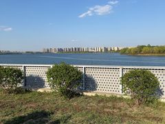 -丁香湖公园