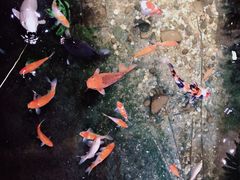 -聚缘堂·海鲜私房菜(松岭路店)