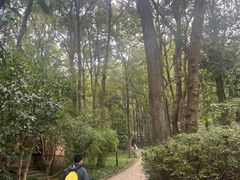 -九曜山