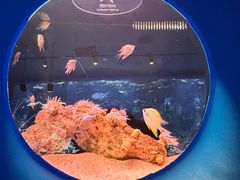 -欢乐海岸海洋奇梦馆