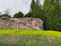 -东平国家森林公园