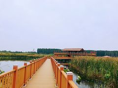 -白洋淀景区