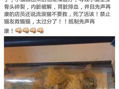 盛京一禾-盛京一禾