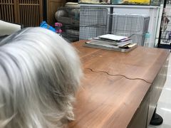 -米卢宠物公园(广华居店)