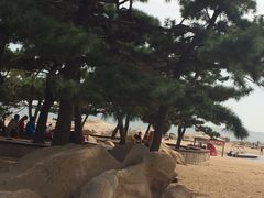 景点-老虎石海上公园