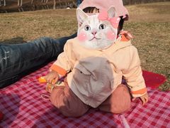 -长白岛森林公园