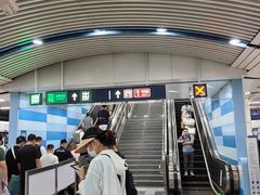 -大望路(地铁站)