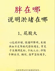 -Fundi张玉珊修身堂·indiba·BTL科技瘦身