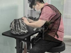 -爱洗澡的猫(望京店)