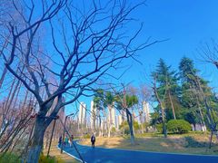 -后襄河公园