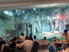 -帝企鹅自助餐厅•儿童岛•真企鹅(长隆企鹅酒店)