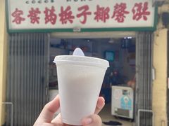 -洪馨椰子