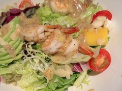 -Bco豆库(星耀天地店)