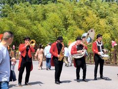 -黄海国家森林公园