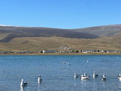 -青海湖国家重点风景名胜区