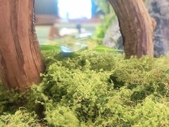 -滇铺子·云南特色菜·鲜花野菜季(曲靖万达店)