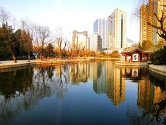 -团结湖公园