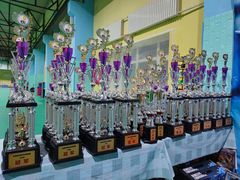 -长春乐奇平衡车儿童体能运动中心