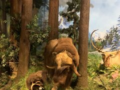 -陕西自然博物馆