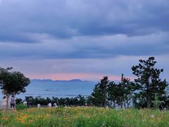 -小麦岛公园