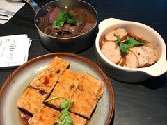 -MR鹅外
