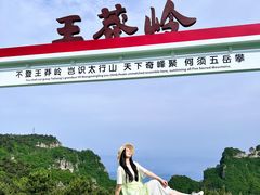 -王莽岭风景区