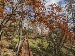 -老秃顶草原景区