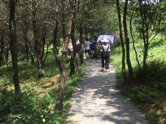 -永泰中国云顶