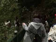 -洛阳白云山景区