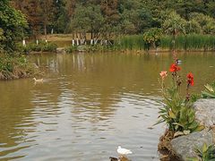 -海珠湖公园