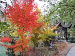 -东湖落雁景区