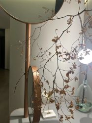 -LB·海菲秀牛奶光官方体验中心