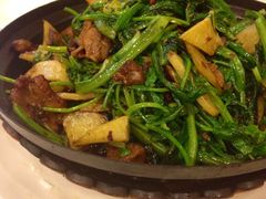 iphone_upload_pic-枫林饺子