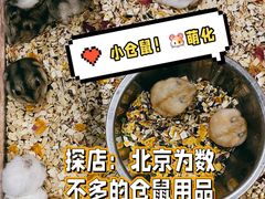 -钓仓鼠(洋桥北里小区店)