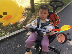 -长白岛森林公园