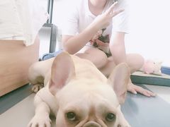 -马路边边串串香(双井直营店)